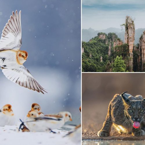 Discover: Breathtaking Winners of the 2025 National Geographic Traveller Photography Contest