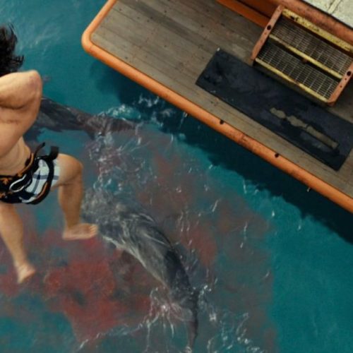 13 Bone-Chilling Shark Movies Streaming Now