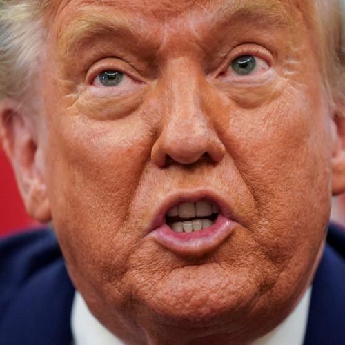 Democrats Shouldn’t Hesitate to Call Trump a Moron — They’re Right | Opinion
